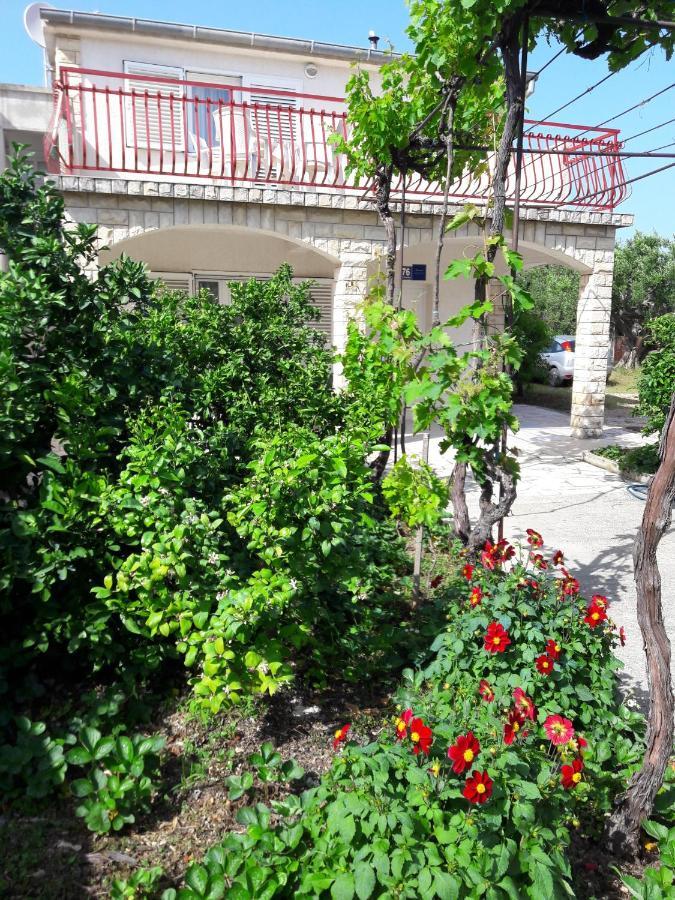 Apartment Bise Рогозница Екстериор снимка